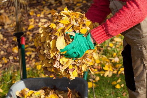 A person wearing a red long-sleeved shirt and green gardening gloves is holding a large handful of fallen autumn leaves, which are yellow and brown, over a black wheelbarrow. The wheelbarrow is positioned on a patch of green grass, with a garden tools handle visible in the background. The surrounding scene includes scattered leaves on the ground and a partly blurred garden area, suggesting outdoor autumnal yard work that may relate to rubbish removal or garden clearance services in Chelmsford. The image emphasizes the collection and disposal of outdoor garden waste, consistent with professional rubbish removal activities offered by Commercial Waste Chelmsford.